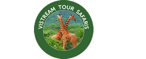 Vistream Tour Kenya Safaris